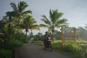 Krisis iklim dan ketahanan pangan di desa wisata